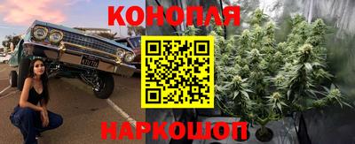 спайс Канаш