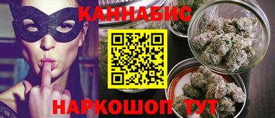 стафф Кингисепп
