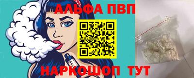 стафф Кингисепп