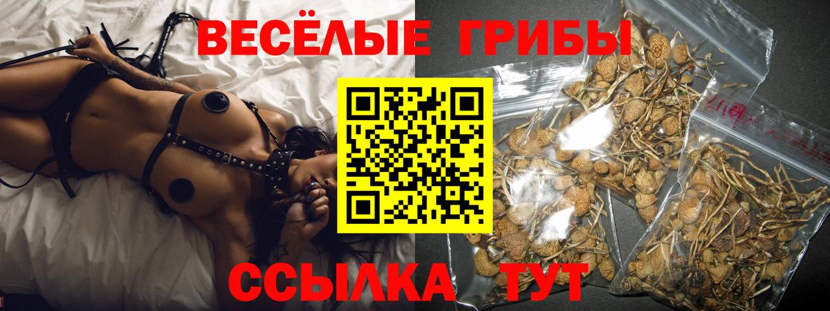 Галлюциногенные грибы ЛСД Краснознаменск