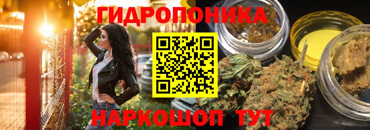Конопля индика  Вход с VPN  Краснознаменск  Бошки марихуана гибрид  МАРИХУАНА сатива 